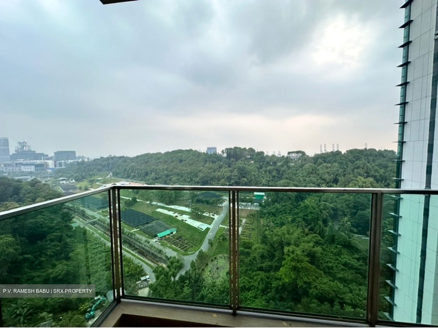 Normanton Park (D5), Apartment #602267161